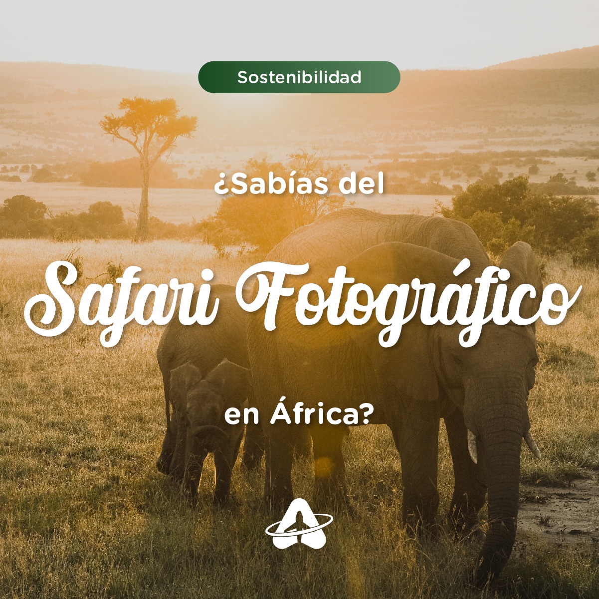 Los 4 Mejores Sitios para un Safari Fotográfico en África